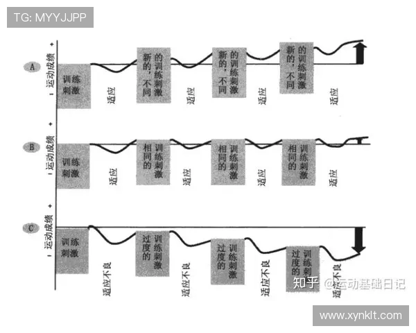 乒乓球运动发展历程与技术创新对竞技水平提升的深远影响分析 乒乓球运动发展历程与技术创新对竞技水平提升的深远影响分析