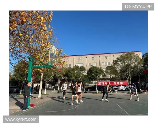 篮球魅力激发团队合作精神与青春奋斗力量的运动文化探索之深入研究