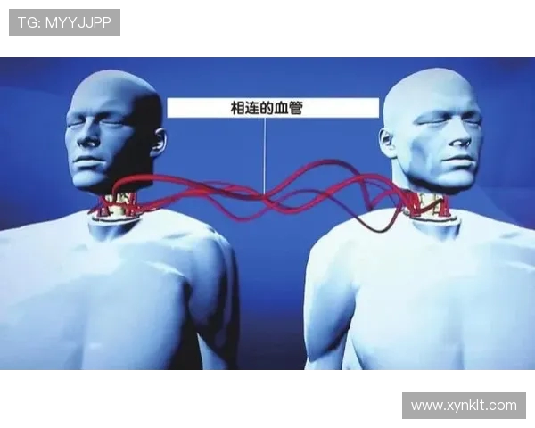 街舞传奇陈伟专访：探寻成功背后的秘密与坚持之道