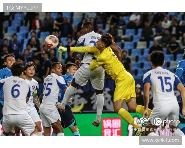 沧州雄狮的历史传承与现代发展探析,见证中华传统技艺的辉煌再现 沧州雄狮的历史传承与现代发展探析,见证中华传统技艺的辉煌再现