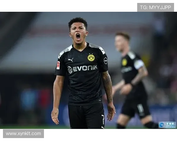 努涅斯的崛起之路：从青涩新星到足球场上的闪耀巨星