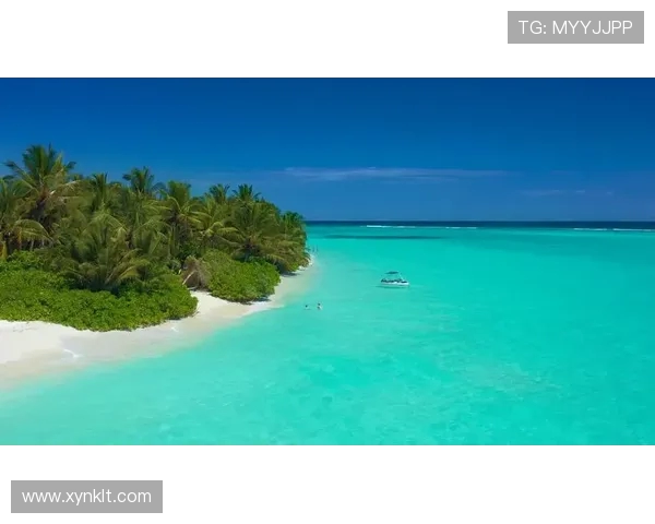 坎昆与西玛的魅力对比探寻热带海滩与古老文明的完美结合